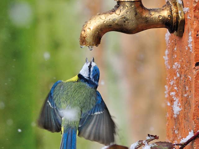 Photocontest Internazionale 100 Foto Di Natura Piu Belle Al Modo